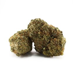 WHOLESALE FLOWER MILKSHAKE ZHEETOS DELTA-10