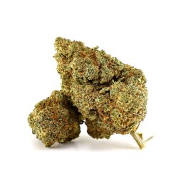 WHOLESALE FLOWER DANTE'S INFERNO H5 BLEND