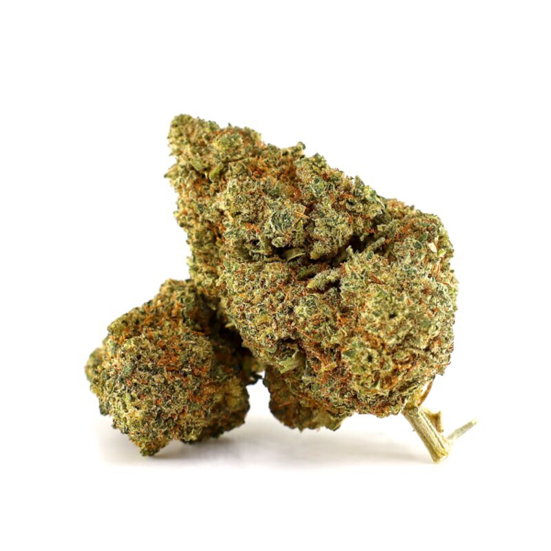 WHOLESALE FLOWER DANTE'S INFERNO H5 BLEND