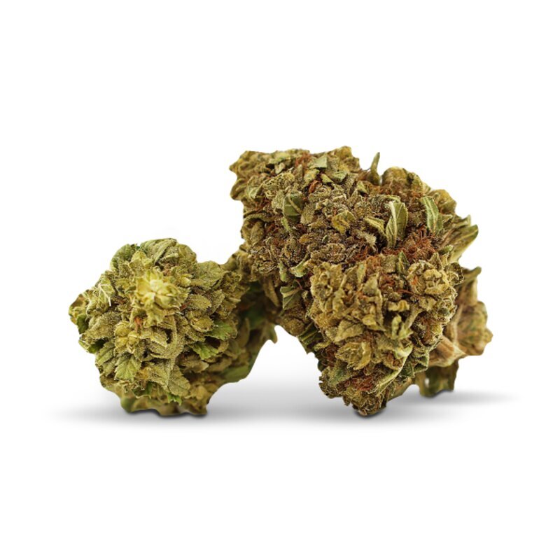 WHOLESALE FLOWER BLUE ZUCHI H5 BLEND