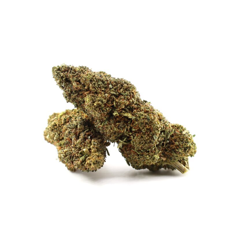 WHOLESALE FLOWER DIABOLO H5 BLEND