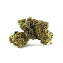 WHOLESALE FLOWER BLUEBERRY MOJITO H5 BLEND
