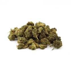 WHOLESALE FLOWER SMALL BUDS MIX H5 BLEND