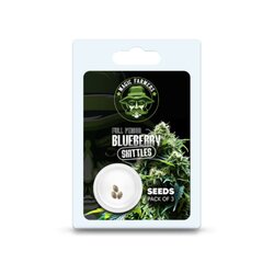 WHOLESALE SEEDS BLUEBERRY SKITTELZ