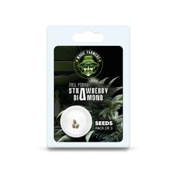 WHOLESALE SEEDS STRAWBERRY DIAMOND