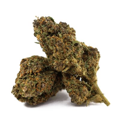 WHOLESALE FLOWER ZOMBIE KUSH MAGIC SAUCE