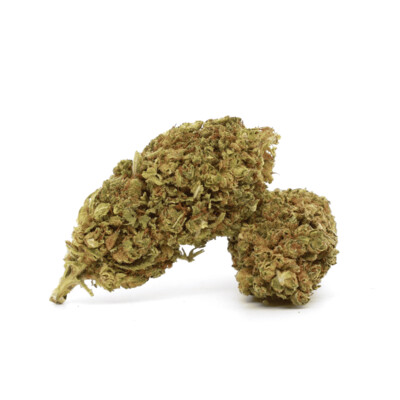 WHOLESALE FLOWER OREOZ 10-OH+