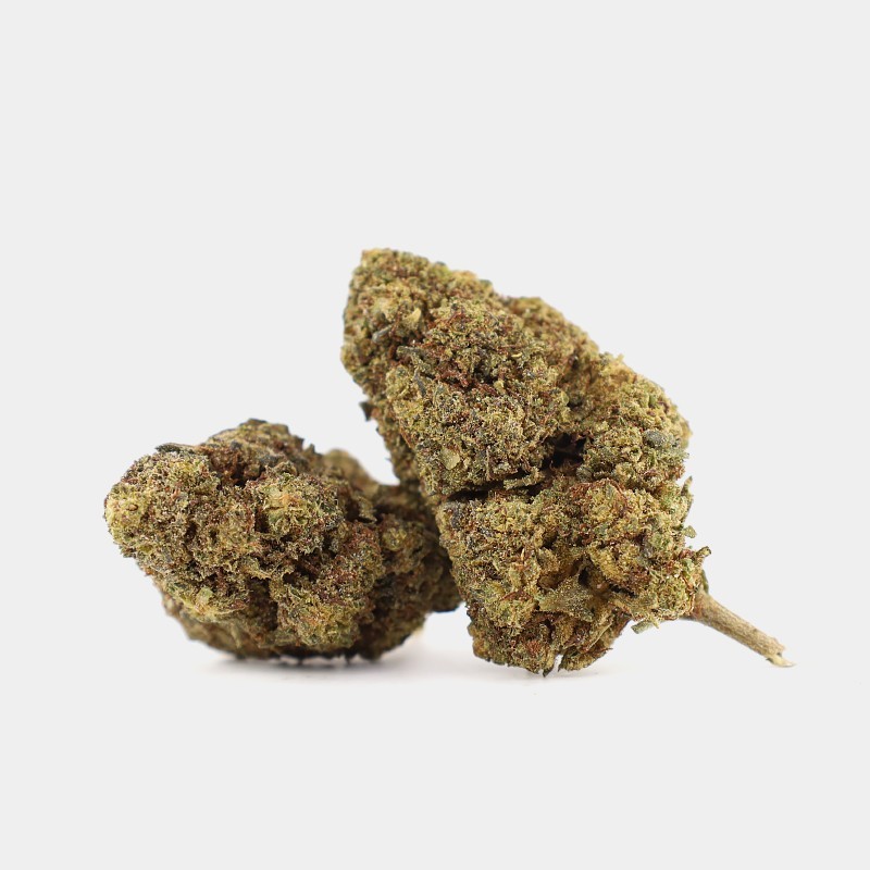Mimosa 10-OH+ 30%