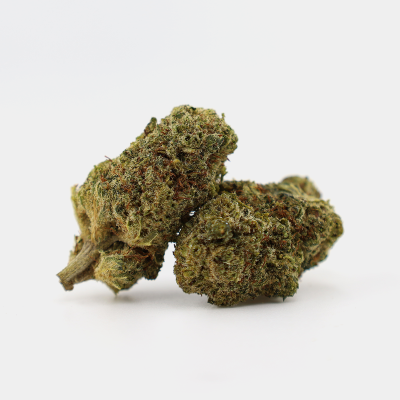 GODZILLA PUNCH THCA 25%