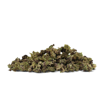 PURPLE URKLE SMALL BUDS...