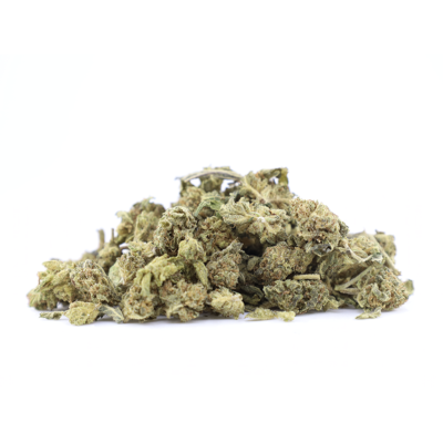 APPLE FRITTER SMALL BUDS...
