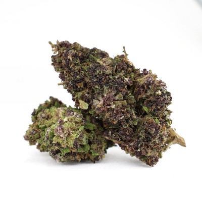 PURPLE URKLE FLOWER D10 50%