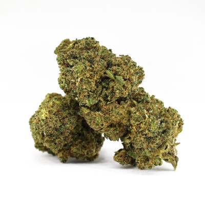 OBAMA RUNTZ FLOWER D10 50%