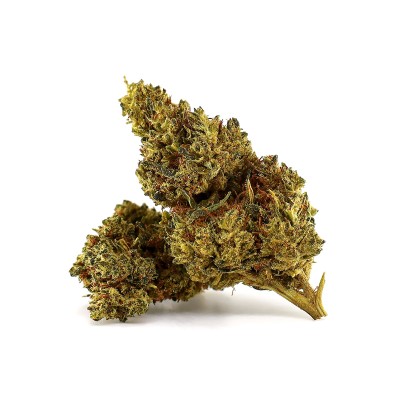 CRITICAL 2.0 FLOWER D10 50%