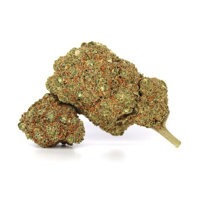 RAINBOW SHERBERT 11 FLOWER...