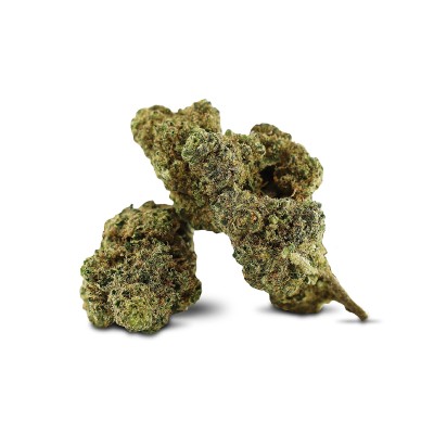 APPLE FRITTER FLOWER 10-OH+...
