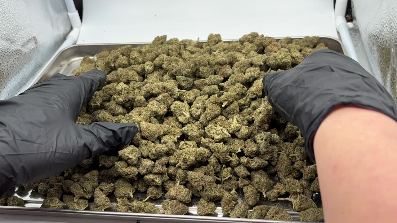 911 OG video