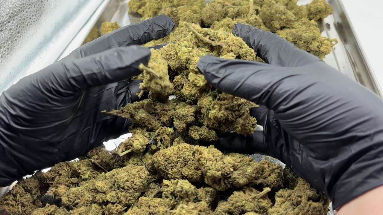 Bruce Banner video