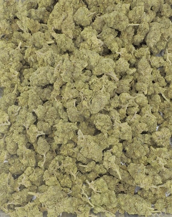Gorilla Cookies video