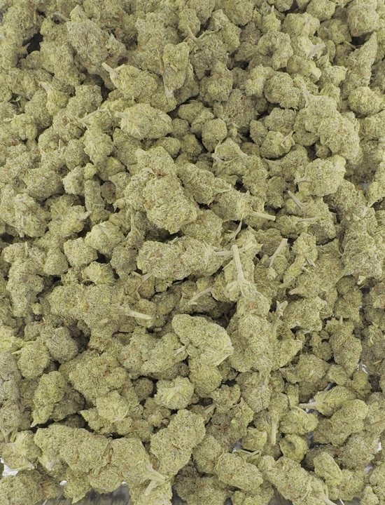 High Pepito video