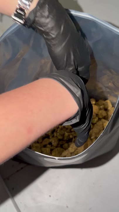 Jelly Bomb video