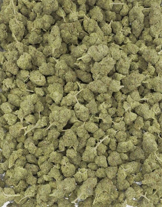 Khalifa Kush video