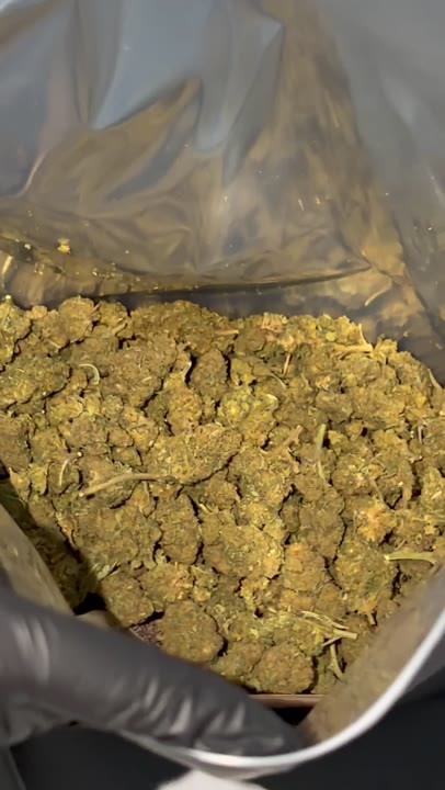 L.A Confidential video