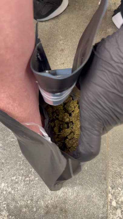 Mimosa video
