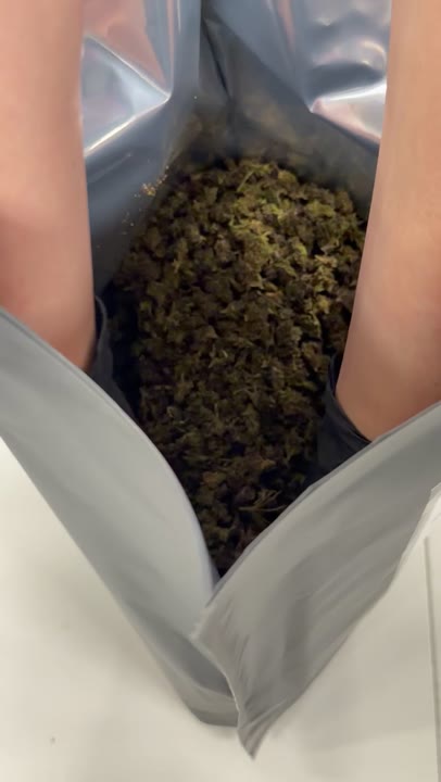Purple Urkle video
