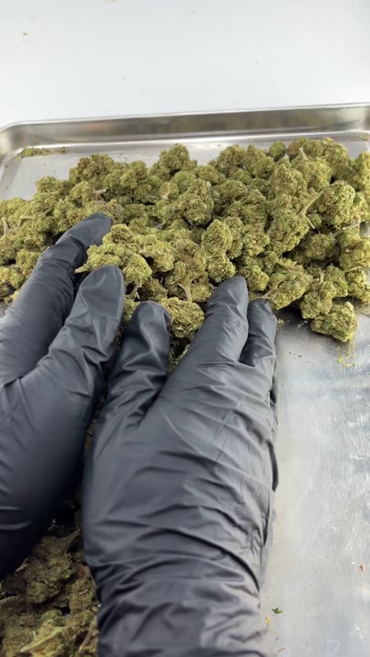Raspberry Cough video