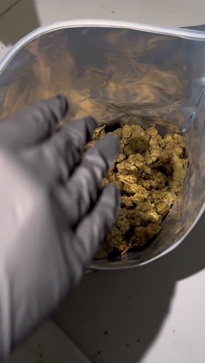 Skywalker OG video