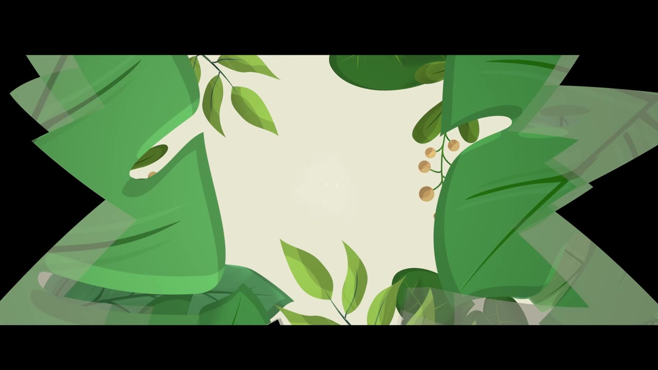 Weedy Wonka video